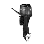 T75BMX-D-14.png